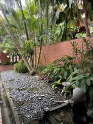 Richards Avenue (D19), Terrace #542892151